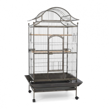 Tropical Large Bird Cage for Parrots, Heavy-Duty Metal Aviary with Rolling Stand, Play Top & Slide-Out Tray, 81×59×179 cm, Black – Model B057