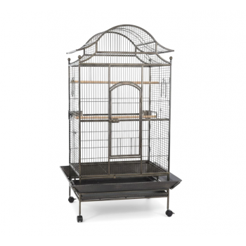 Tropical Large Bird Cage for Parrots, Heavy-Duty Metal Aviary with Rolling Stand, Play Top & Slide-Out Tray, 81×59×179 cm, Black – Model B057