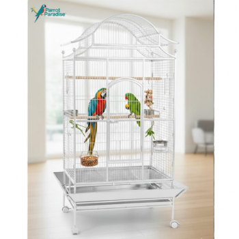 Tropical Large Bird Cage Aviary with Rolling Stand, White Metal Parrot Cage 81×59×179 cm, Heavy-Duty Wrought Iron, Play Top & Slide-Out Tray – Model B057 Tropical Large Bird Cage Aviary with Rolling Stand, White Metal Parrot Cage 81×59×179 cm, Heavy-Duty Wrought Iron, Play Top & Slide-Out Tray – Model B057