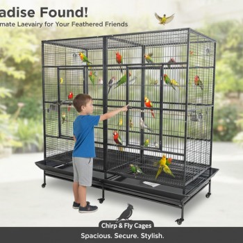 Extra-Large Double-Width Bird Cage – 200x100x197 cm Wrought Iron Aviary with Stand & Casters, Removable Divider, Perches & Feeding Cups for Small to Medium Birds - B069