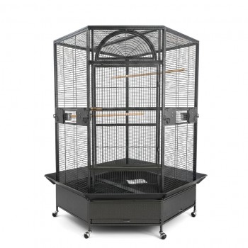 Jumbo Corner Parrot Cage, Black – 163cm Height, Pentagonal Diamond Front Large Bird Aviary with Casters, Model B075-1