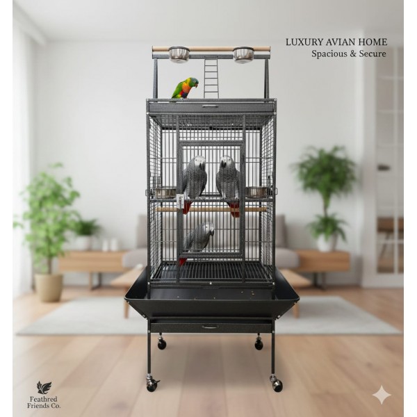 Large Black Bird Cage with Play Top & Rolling Stand (61 × 56 × 173 cm), Wrought Iron Aviary with Stainless Steel Feeders, Perches & Storage Shelf – BC08