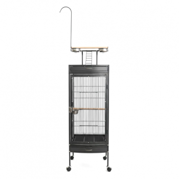 Black Medium Wrought Iron Playtop Bird Cage with Rolling Stand & Open-Top Perch (47 × 47 × 167 cm), Easy-Clean Tray, Stainless Steel Cups for Small to Medium Birds – BC09