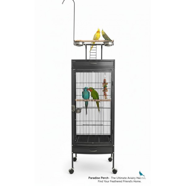 Black Medium Wrought Iron Playtop Bird Cage with Rolling Stand & Open-Top Perch (47 × 47 × 167 cm), Easy-Clean Tray, Stainless Steel Cups for Small to Medium Birds – BC09