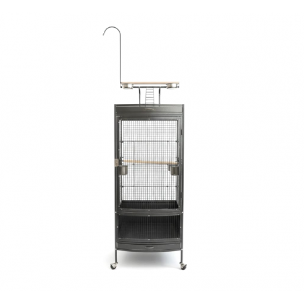 Large Black Wrought Iron Bird Cage with Play Top & Rolling Stand (60 × 64 × 178 cm), Metal Aviary with Pyramid Top, Ladder, Perches, Feeding Bowls & Easy-Clean Tray for Medium to Large Birds – BC12
