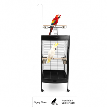 Large Black Acrylic Front Bird Cage with Play Top & Rolling Stand (60 × 63.5 × 155 cm), Wrought Iron Aviary with Stainless Steel Feeders for Small to Medium Birds – BC12-1