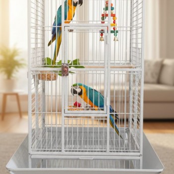 Large Open-Top Tropical Bird Cage with Rolling Stand – White Wrought Iron Dome-Top Aviary, Playpen Top, Stainless Steel Feeders & Easy-Clean Tray for Cockatiels, Parakeets, Canaries & Parrots – 61 × 57 × 172 cm , Model - BC14R