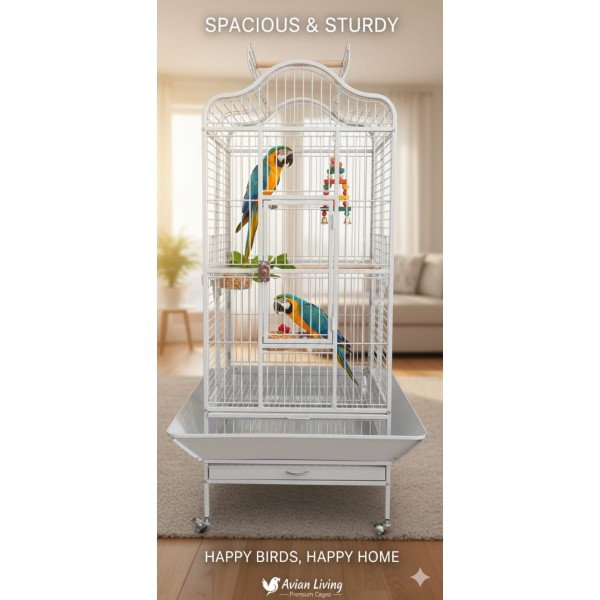 Large Open-Top Tropical Bird Cage with Rolling Stand – White Wrought Iron Dome-Top Aviary, Playpen Top, Stainless Steel Feeders & Easy-Clean Tray for Cockatiels, Parakeets, Canaries & Parrots – 61 × 57 × 172 cm , Model - BC14R