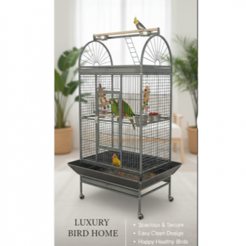 Luxury Large Bird Cage with Play Top – Black Metal Parrot Cage with Stand & Wheels, Easy Clean (Model BC19-2)