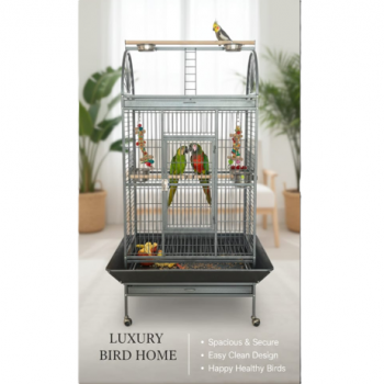 Luxury Large Bird Cage with Play Top – Black Metal Parrot Cage with Stand & Wheels, Easy Clean (Model BC19-2)