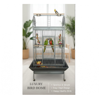 Luxury Large Bird Cage with Play Top – Black Metal Parrot Cage with Stand & Wheels, Easy Clean (Model BC19-2)