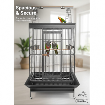 Large Black Playtop Bird Cage 102 x 81 x 200 cm – Spacious Parrot Cage for Medium to Large Birds with Rolling Casters, Slide-Out Trays, Perches, Ladders, Toy Hook, Bird-Proof Locks – Model BC23