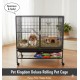 Pet Cage with Rolling Stand – 79 × 53 × 84 cm – Multi-Species Habitat for Birds, Cats, Small Dogs, Rabbits, Squirrels & Other Small Pets – Model C9
