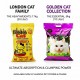 Cat Litter Combo 25 KG / 30 L – London Cat Lavender Premium Super Clumping Cat Litter 17 KG / 20 L + Golden Cat Lavender Bentonite Clumping Cat Litter 8 KG / 10 L, Strong Clumping, High Absorption, Odor Control, Low Dust, Scoopable