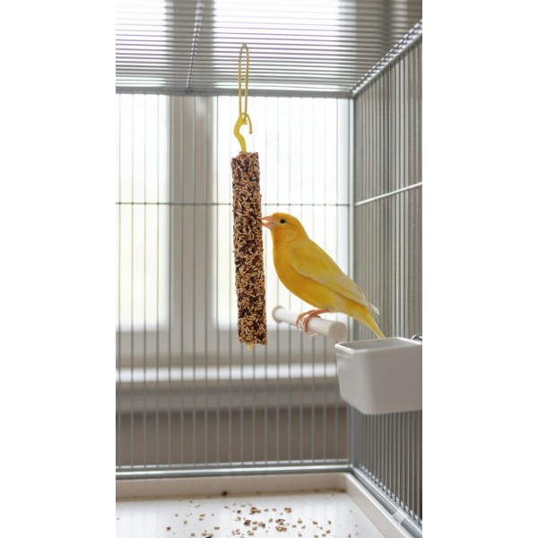 Benelux Bird Snack Sticks – 2 x 55g | Natural, Vitamin-Enriched Treat for Birds | Easy-to-Hang Wooden Sticks