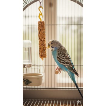 Benelux Bird Sticks with Honey – 2-Pack Treat for Budgerigars & Ornamental Birds | Healthy Nibble Toy with Vitamins