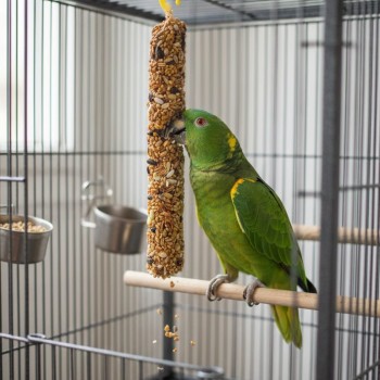 Benelux Honey & Egg Bird Sticks – 2 Pack (2 x 75g) | Natural Vitamin-Enriched Treats for Parrots, Parakeets & Large Birds | Fun Nibble Toy with Hanging Hook