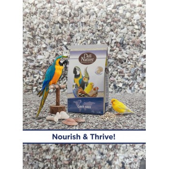 Deli Nature Bird Grit Mix 20 kg – Mineral & Calcium Feed for Ornamental, Aviary & Poultry Birds | Supports Digestion, Bone Health, Eggshell Strength | Parrots, Budgies, Canaries, Finches, Chickens, Pigeons, Doves, Quail