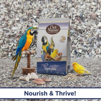 Deli Nature Bird Grit Mix 20 kg – Mineral & Calcium Feed for Ornamental, Aviary & Poultry Birds | Supports Digestion, Bone Health, Eggshell Strength | Parrots, Budgies, Canaries, Finches, Chickens, Pigeons, Doves, Quail