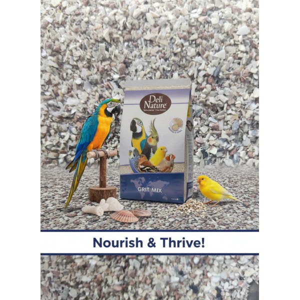 Deli Nature Bird Grit Mix 20 kg – Mineral & Calcium Feed for Ornamental, Aviary & Poultry Birds | Supports Digestion, Bone Health, Eggshell Strength | Parrots, Budgies, Canaries, Finches, Chickens, Pigeons, Doves, Quail