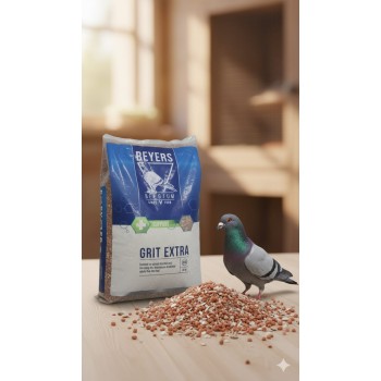 BEYERS Grit Extra 20kg – Mineral Grit Supplement for Racing & Breeding Pigeons, Calcium & Oyster Shell for Strong Bones & Eggshell, Stomach Grit for Digestion, Charcoal Detox for Loft Birds