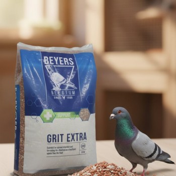 BEYERS Grit Extra 20kg – Mineral Grit Supplement for Racing & Breeding Pigeons, Calcium & Oyster Shell for Strong Bones & Eggshell, Stomach Grit for Digestion, Charcoal Detox for Loft Birds