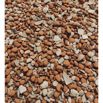 BEYERS Grit Extra 20kg – Mineral Grit Supplement for Racing & Breeding Pigeons, Calcium & Oyster Shell for Strong Bones & Eggshell, Stomach Grit for Digestion, Charcoal Detox for Loft Birds