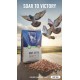BEYERS Grit Extra 20kg – Mineral Grit Supplement for Racing & Breeding Pigeons, Calcium & Oyster Shell for Strong Bones & Eggshell, Stomach Grit for Digestion, Charcoal Detox for Loft Birds