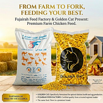 Fujairah Animal Feed – Premium All-Natural Granular Nutrition for Livestock & Poultry – Supports Growth, Immunity & Productivity – 20 kg Bag