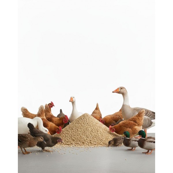 Fujairah Animal Feed – Premium All-Natural Granular Nutrition for Livestock & Poultry – Supports Growth, Immunity & Productivity – 1 kg Bag Fujairah Animal Feed – Premium All-Natural Granular Nutrition for Livestock & Poultry – Supports Growth, Immunity & Productivity – 1 kg Bag