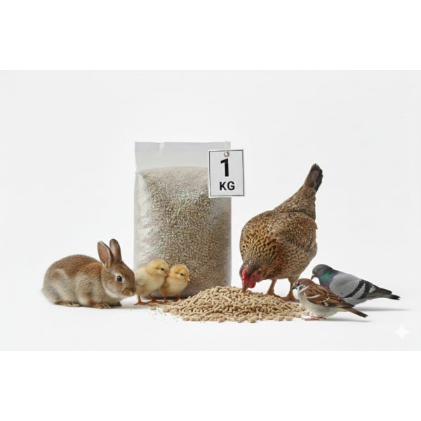 Fujairah Feed Factory – Premium Multi-Species Animal Feed Pellets 1kg | Balanced Nutrition for Livestock & Poultry | Supports Growth, Immunity, Digestion & Productivity