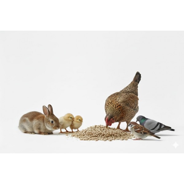 Fujairah Feed Factory – Premium Multi-Species Animal Feed Pellets 20kg Bag | Balanced Nutrition for Livestock & Poultry