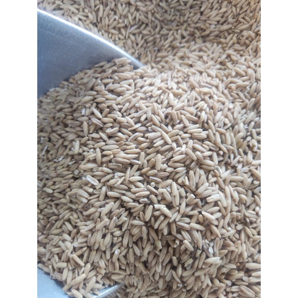 Premium Whole Oats – 100% Natural, High-Energy Livestock & Bird Feed | 25kg Bag