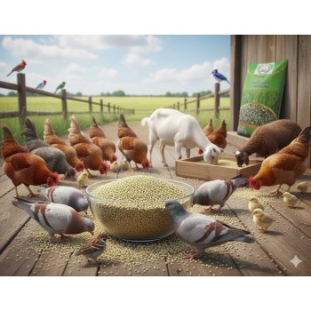 GOLD MEDAL Green Millet (Bajra) – Premium Bird & Animal Feed | High-Energy, High-Protein Natural Grain | 1kg Bag