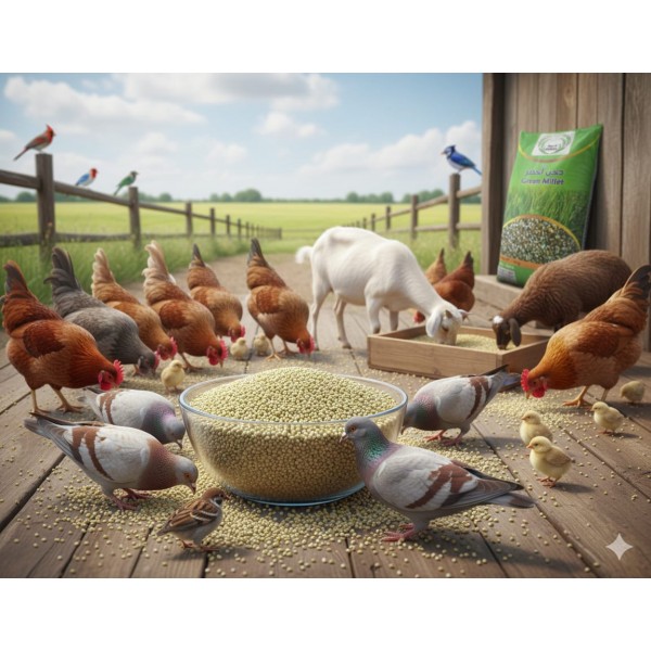 GOLD MEDAL Green Millet (Bajra) – Premium Bird & Animal Feed | High-Energy, High-Protein Natural Grain | 15kg Bag
