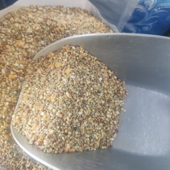 Premium Mixed Bird & Poultry Seeds – High-Protein Wild Bird, Pigeon, and Chicken Feed | 20 kg Bag