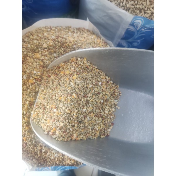 Premium Mixed Bird & Poultry Seeds – High-Protein Wild Bird, Pigeon, and Chicken Feed | 20 kg Bag