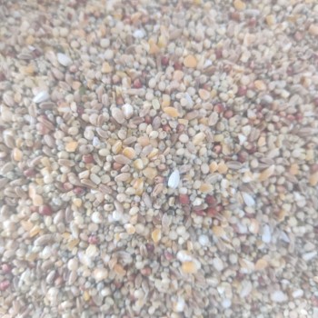 Premium Mixed Bird & Poultry Seeds – High-Protein Wild Bird, Pigeon, and Chicken Feed | 20 kg Bag