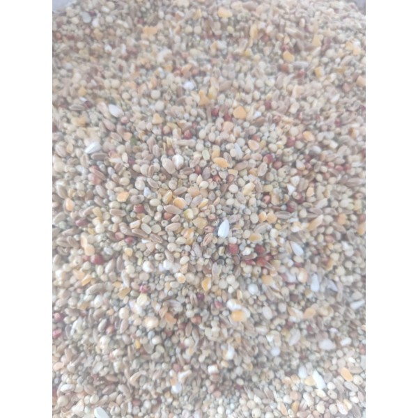 Premium Mixed Bird & Poultry Seeds – High-Protein Wild Bird, Pigeon, and Chicken Feed | 20 kg Bag