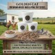 Golden Cat Premium Mixed Bird & Poultry Seeds 15 kg (3 × 5 kg Plastic Barrels) – High Protein Whole Grain Feed for Chickens, Hens, Roosters, Pigeons, Doves & Wild Birds – Natural Corn & Millet Blend
