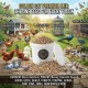 Golden Cat Premium Mixed Bird & Poultry Seeds 15 kg (3 × 5 kg Plastic Barrels) – High Protein Whole Grain Feed for Chickens, Hens, Roosters, Pigeons, Doves & Wild Birds – Natural Corn & Millet Blend
