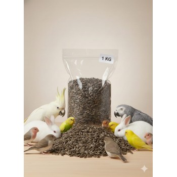 Premium Natural Whole Roasted Sunflower Seeds – 1 kg Bag | High-Protein, High-Fiber Bird & Small Pet Food