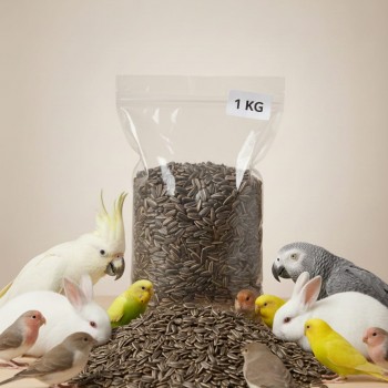 Premium Natural Whole Roasted Sunflower Seeds – 1 kg Bag | High-Protein, High-Fiber Bird & Small Pet Food