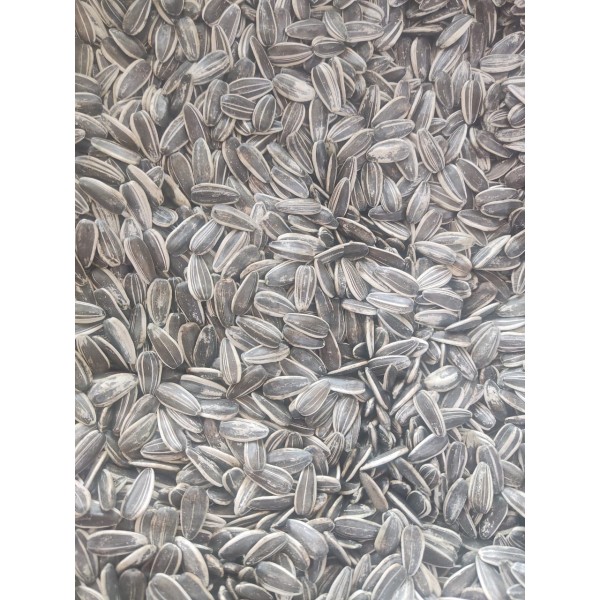 Premium Natural Whole Roasted Sunflower Seeds – 1 kg Bag | High-Protein, High-Fiber Bird & Small Pet Food