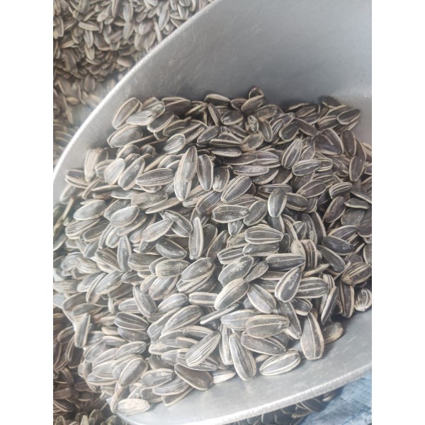 Premium Natural Whole Roasted Sunflower Seeds – 1 kg Bag | High-Protein, High-Fiber Bird & Small Pet Food