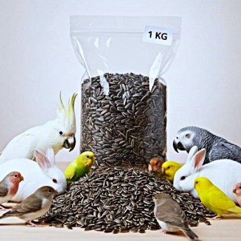Premium Natural Whole Roasted Sunflower Seeds – 1 kg Bag | High-Protein, High-Fiber Bird & Small Pet Food