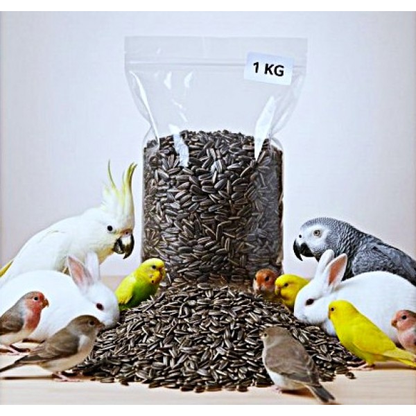 Premium Natural Whole Roasted Sunflower Seeds – 1 kg Bag | High-Protein, High-Fiber Bird & Small Pet Food