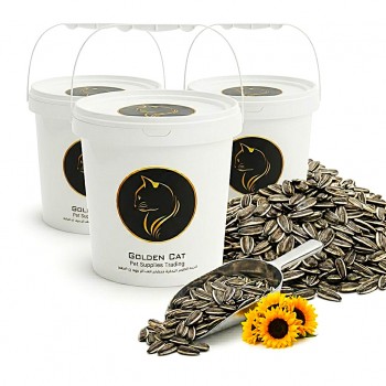 Golden Cat Whole Roasted Sunflower Seeds 3 x 3kg (9kg Total) Barrel Pack | Premium Bird Food for Parrots, Budgies, Cockatiels, Lovebirds & Small Pets | High Protein High Fiber Non-GMO Argentina Origin