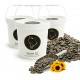 Golden Cat Whole Roasted Sunflower Seeds 3 x 3kg (9kg Total) Barrel Pack | Premium Bird Food for Parrots, Budgies, Cockatiels, Lovebirds & Small Pets | High Protein High Fiber Non-GMO Argentina Origin
