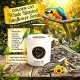 Golden Cat Whole Roasted Sunflower Seeds 3kg Barrel | Premium Bird Food for Parrots, Budgies, Cockatiels, Lovebirds & Small Pets | High Protein High Fiber, Non-GMO, Argentina Origin